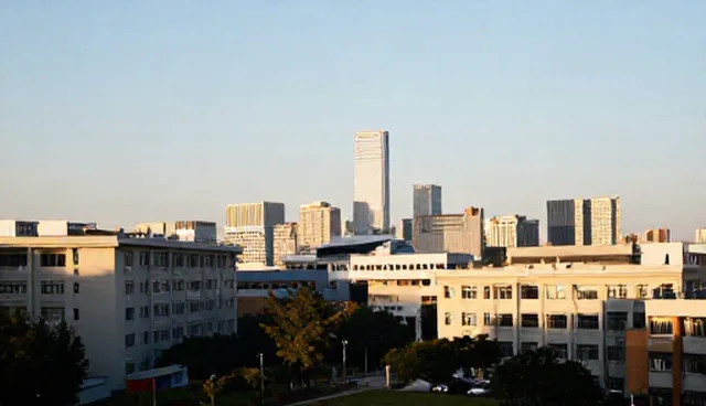 企业名录查询流程复杂，如何高效处理